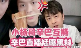 小杨爆料最新视频,揭秘幕后真相，精彩瞬间不容错过
